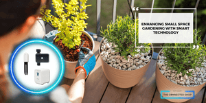 Smart Gardening in Small Spaces: How Technology Transforms Urban Greenery