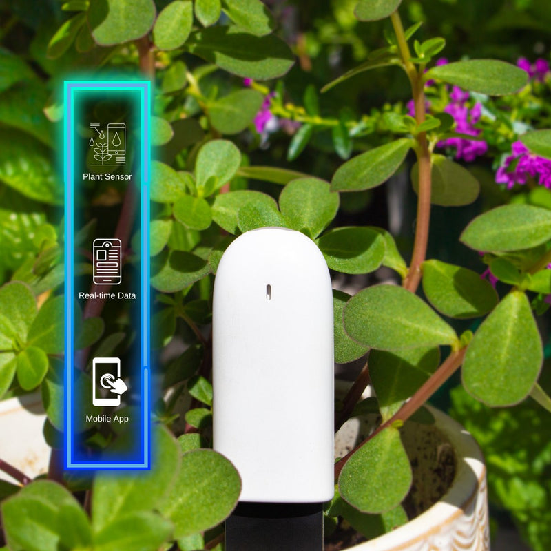 Plant & Flower Smart Sensors - 1 Piece - -