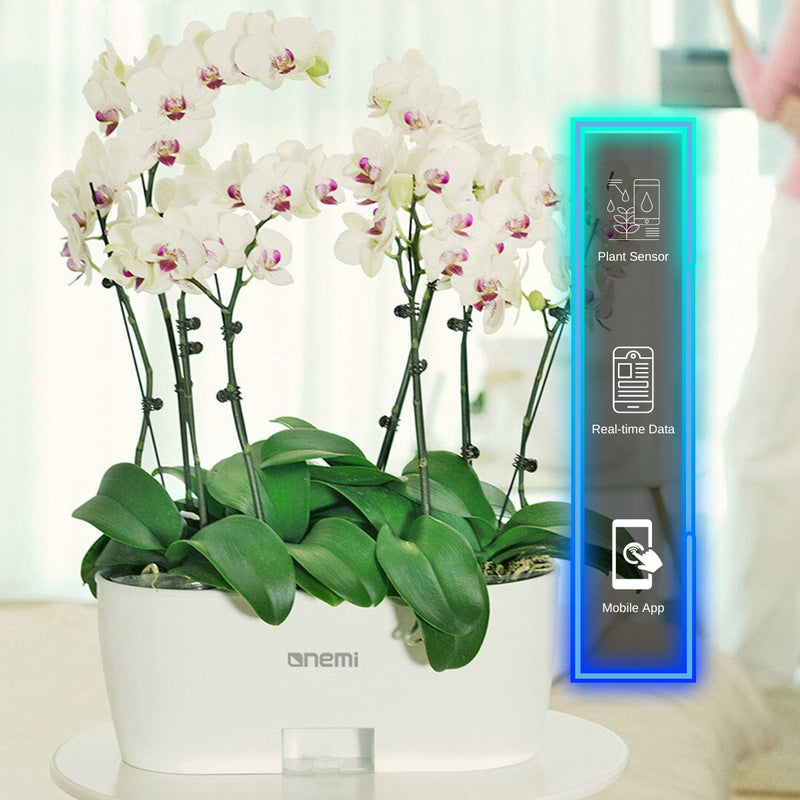 Self Watering Smart Planting Pot - -