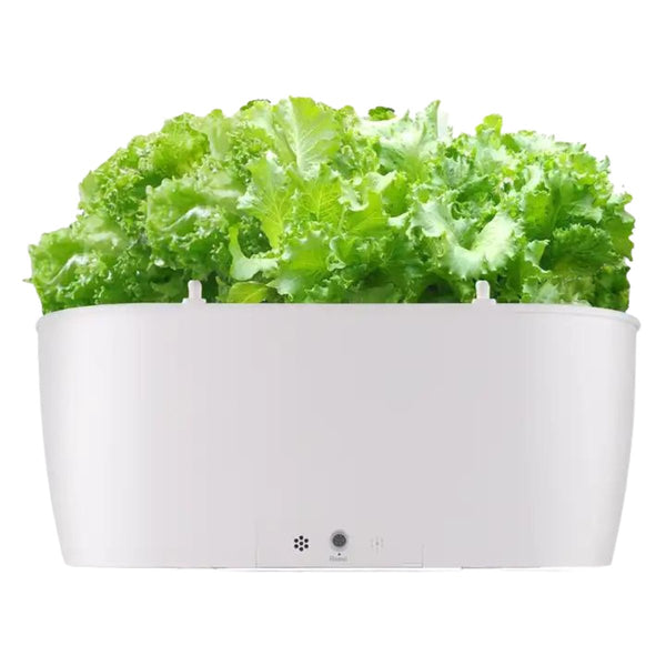 Self Watering Smart Planting Pot - -