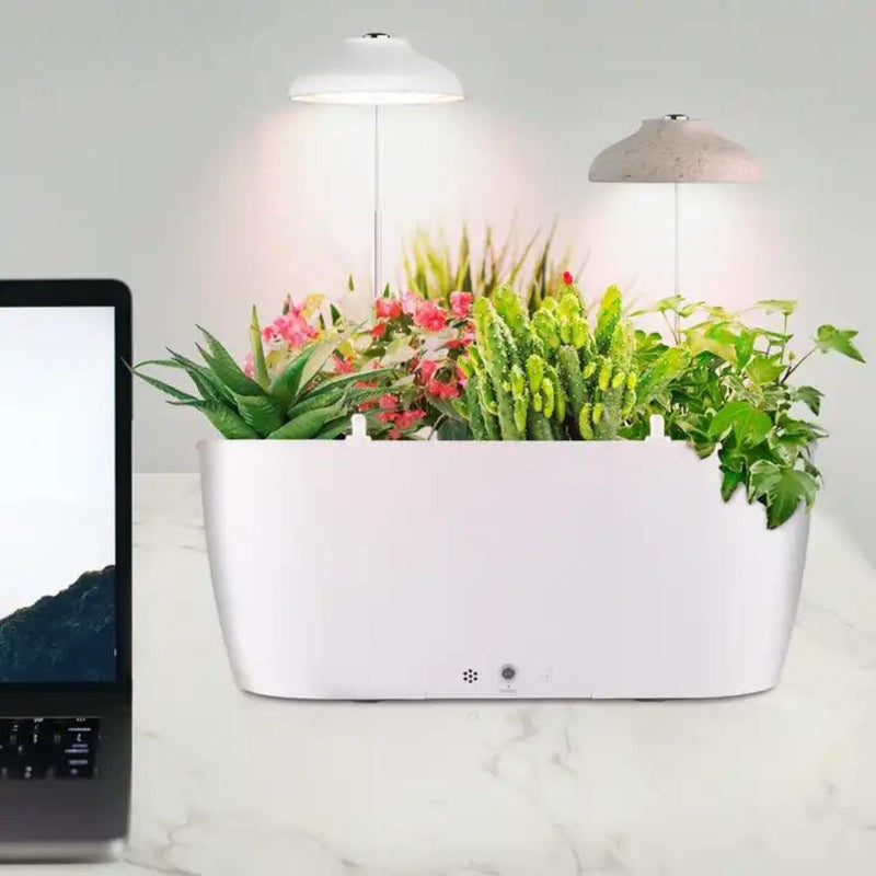 Self Watering Smart Planting Pot - -