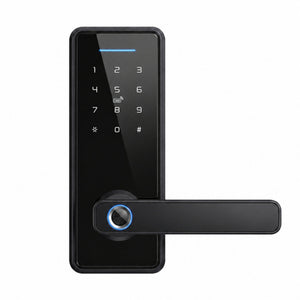 smart door lock mini