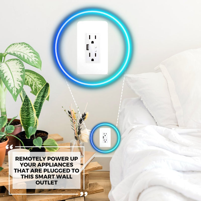 Smart Wall Outlet - -